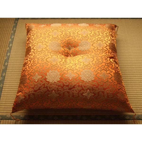 䕧Ozc VN@ i60cmp13cmj