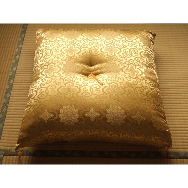 䕧Ozc VN@ i60cmp13cmj