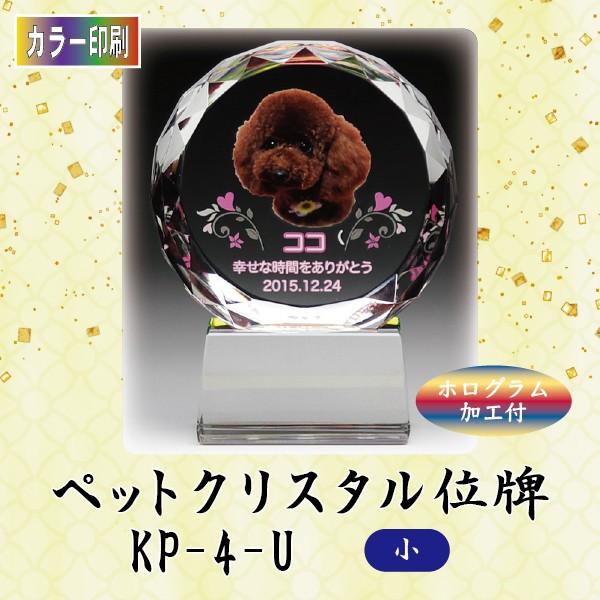 yJ[zNX^ybgʔv@KP-4-U ()