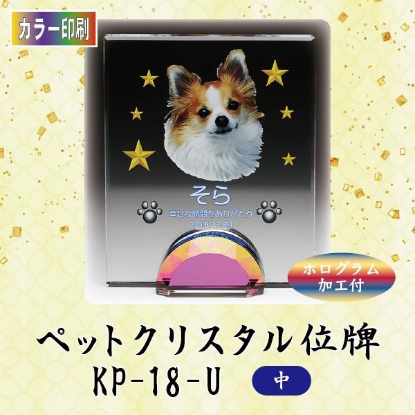 yJ[zNX^ybgʔv@KP-18-U ()