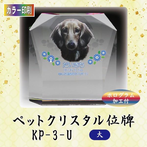 yJ[zNX^ybgʔv@KP-3-U ()