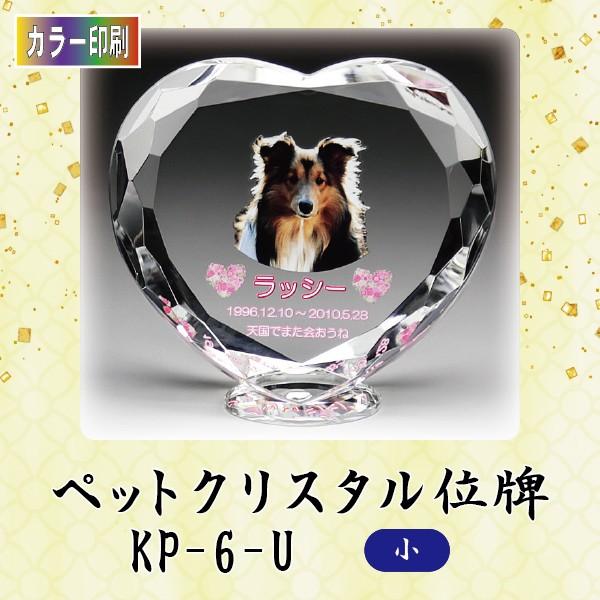 yJ[zNX^ybgʔv@KP-6-U ()