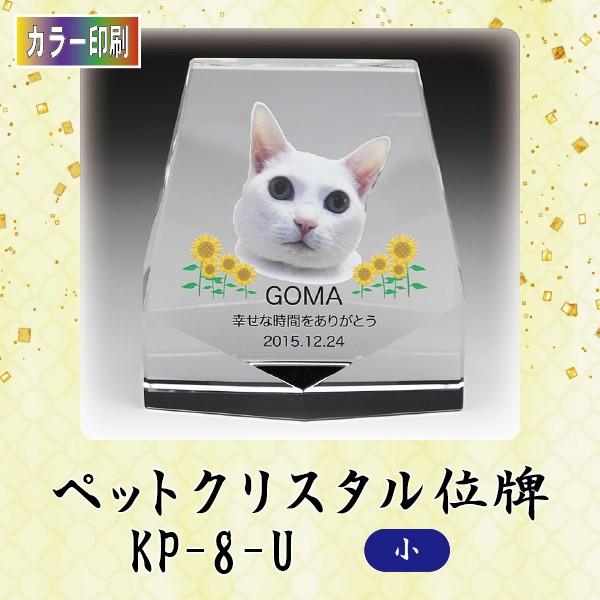 yJ[zNX^ybgʔv@KP-8-U ()