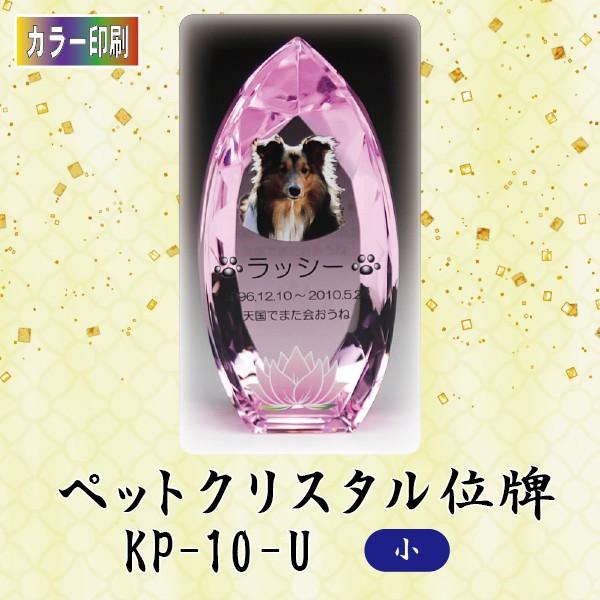 yJ[zNX^ybgʔv@KP-10-U ()