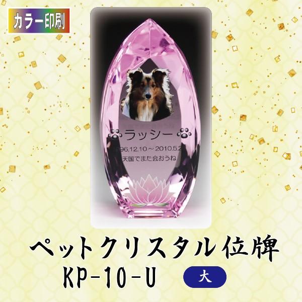 yJ[zNX^ybgʔv@KP-10-U ()