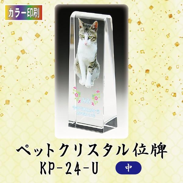 yJ[zNX^ybgʔv@KP-24-U ()