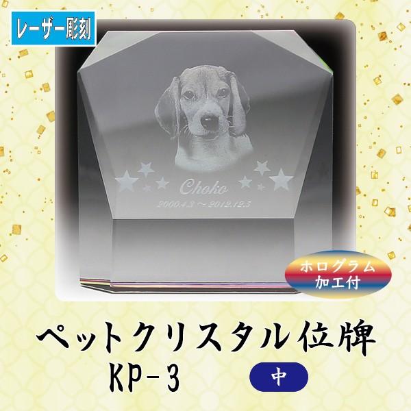 y[U[zNX^ybgʔv@KP-3 ()