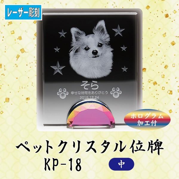 y[U[zNX^ybgʔv@KP-18 ()