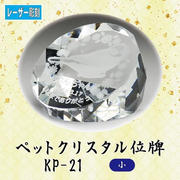 y[U[zNX^ybgʔv@KP-21 ()