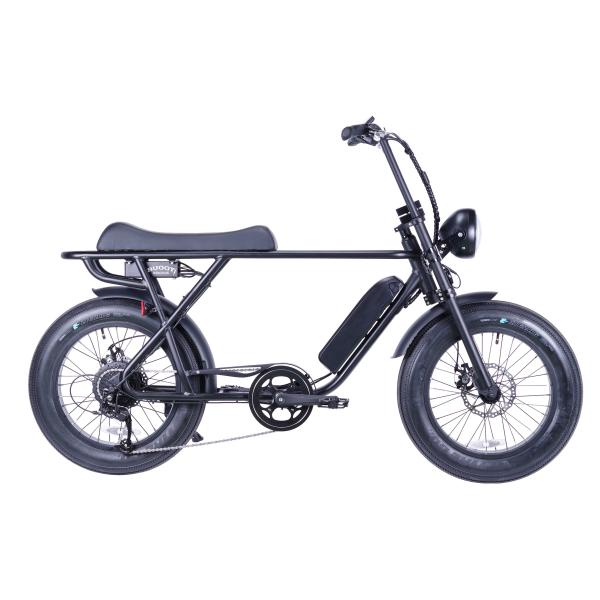 BRONX Buggy20 ブロンクスバギー マットブラック 電動アシストファットバイク　送料無料 愛知、岐阜、三重 地域限定