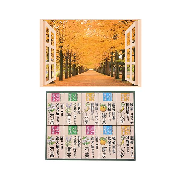 v C̃|X^[ lG Ǖ + p܃MtgZbg B6133529+8095653