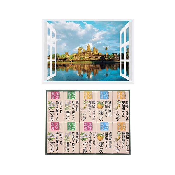 v C̃|X^[ EY AR[bg + p܃MtgZbg B6133529+8100441