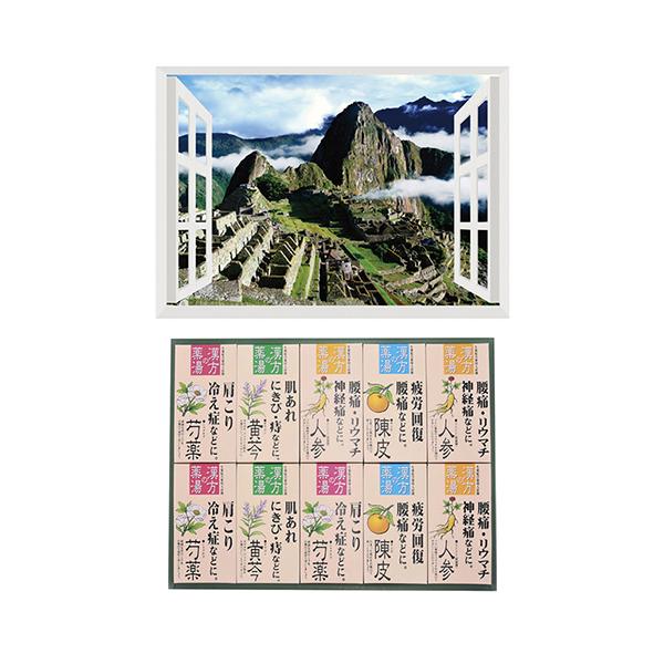 v C̃|X^[ EY }`s` + p܃MtgZbg B6133529+8100442