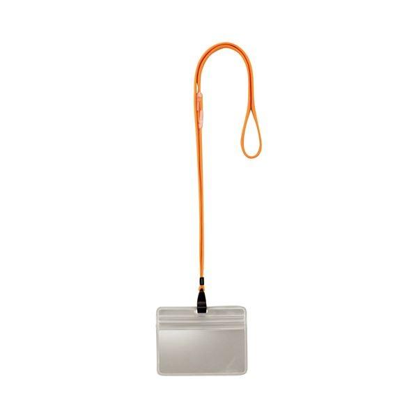 i܂Ƃ߁j TANOSEE ݉D h`bNt  1pbNi10j k×5Zbgl