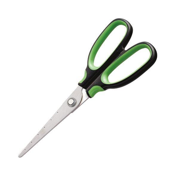 i܂Ƃ߁j TANOSEE ͂ n nn65mm O[ 1Zbgi10{j k×2Zbgl