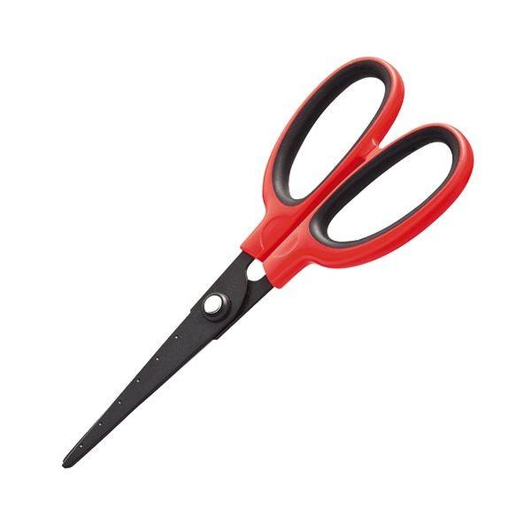 i܂Ƃ߁j TANOSEE tbfn͂ n nn65mm bh 1Zbgi10{j k×2Zbgl