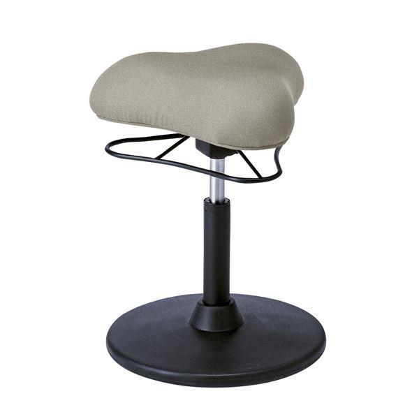 JE^[`FA 41cm LOW^Cv CgO[ X`[ 360x] ~ v|[VXc[ rO _CjOksl