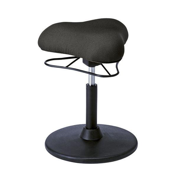 JE^[`FA 41cm LOW^Cv ubN X`[ 360x] ~ v|[VXc[ rO _CjOksl