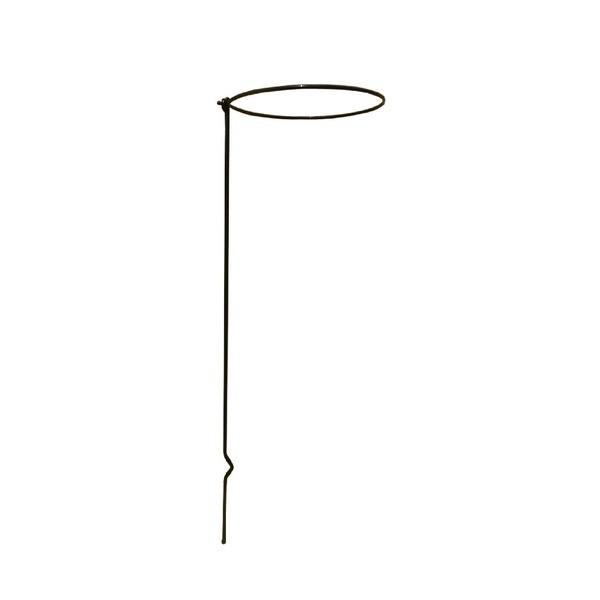 k4{gl v^[x ka20cm×60cml X`[C[() { 173 Ԏxx k| K[fjOpil