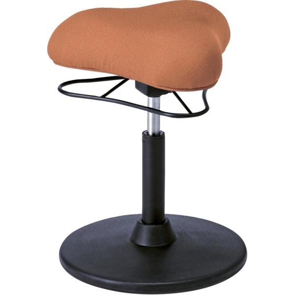 JE^[`FA 41cm LOW^Cv IW X`[ 360x] ~ v|[VXc[ rO _CjOksl