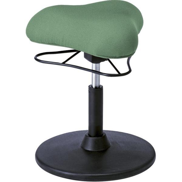 JE^[`FA 41cm LOW^Cv O[ X`[ 360x] ~ v|[VXc[ rO _CjOksl