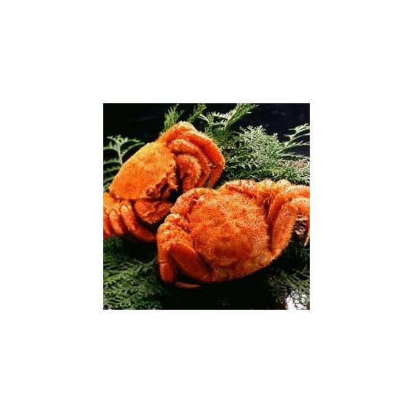 kkCYl{CуKjpi650g×2jksl