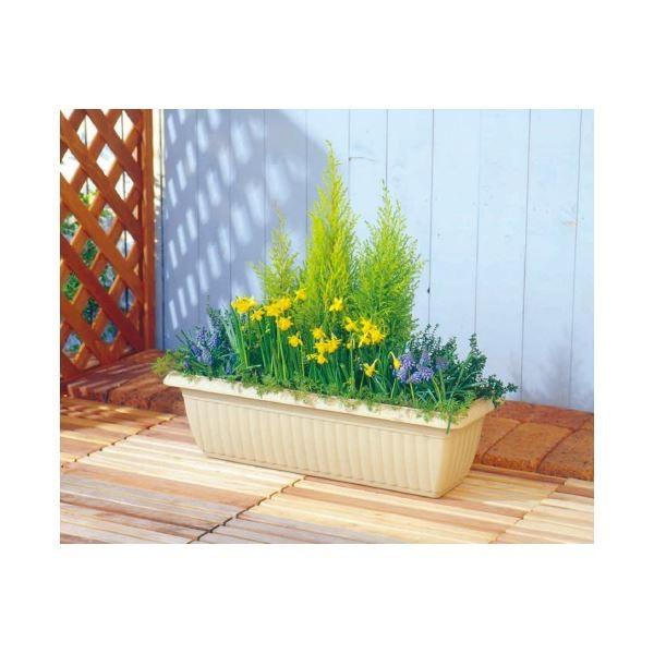 i܂Ƃ߁jACXI[} [tv^[650EH[x[Wi×20Zbgj