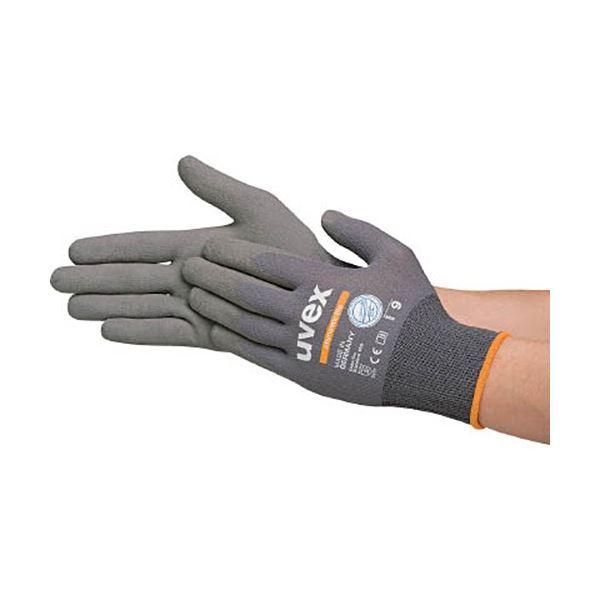 (܂Ƃ) ExbNX tBm~bN Cg O[ XS 6004066 1o k×3Zbgl