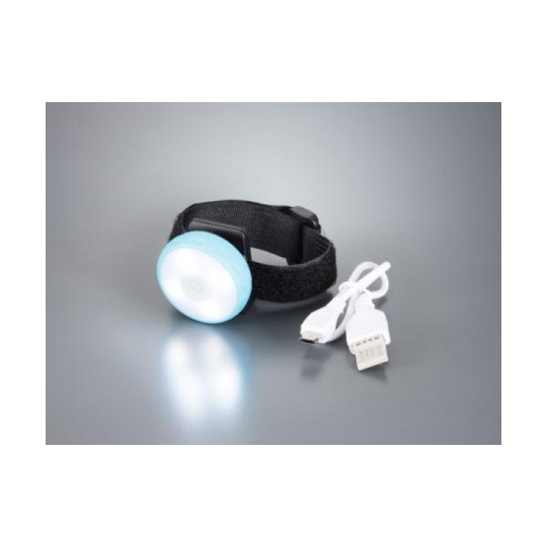 LJ }`ی^LEDu܂܂郉CgNv LE-M01