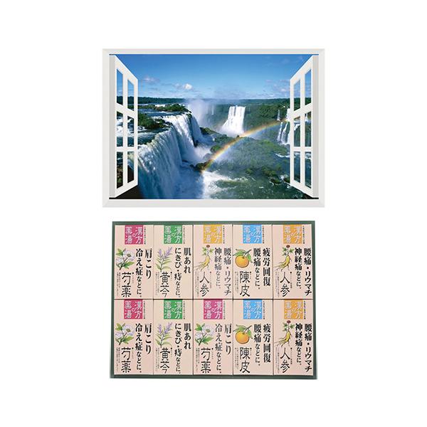 v C̃|X^[ EY COAX̑ + p܃MtgZbg B6133529+8100443