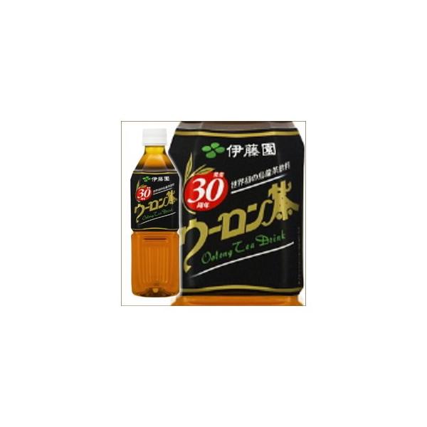 伊藤園 伊藤園 ウーロン茶 500ml×24本 PET (お茶飲料) 価格比較 - 価格.com