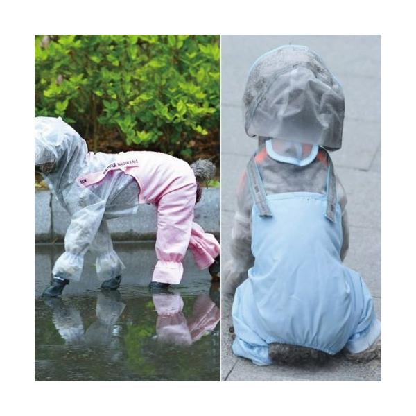 ^E^p CR[g sN/u[ J̓ U J