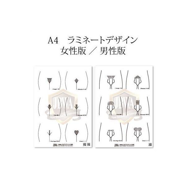 JBWA　ブラジリアンワックス脱毛用6種類のデザインが選べるA4ラミネートです。男性or女性をお選びください。ブラジリアンワックス ワックス脱毛 VIO ハイジニーナ デリケート陰部 アイブロウ フェイシャル 鼻毛 眉毛 うなじ ヒゲ 髭 ...