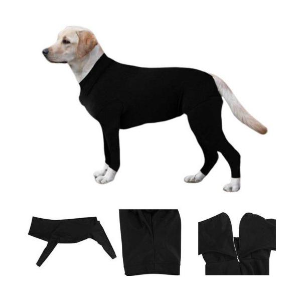 E^ ybgEGA  Xpbc {fBX[c