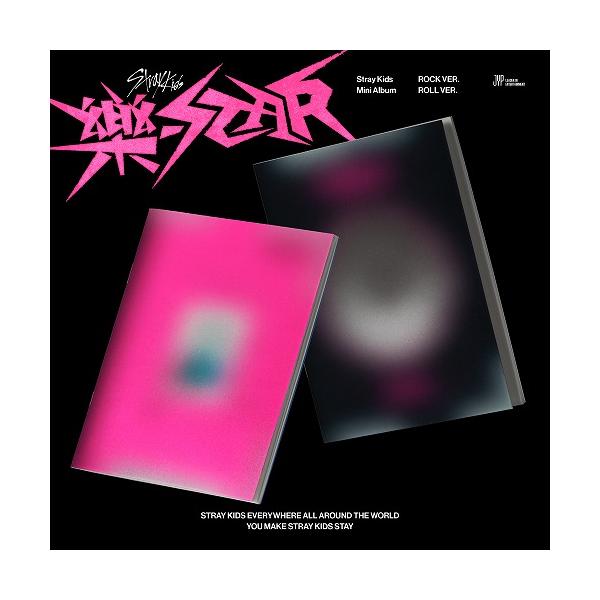 即発送 CHI:SKZ:8ページ CHI:SKZ:8様専用ページ - メルカリ