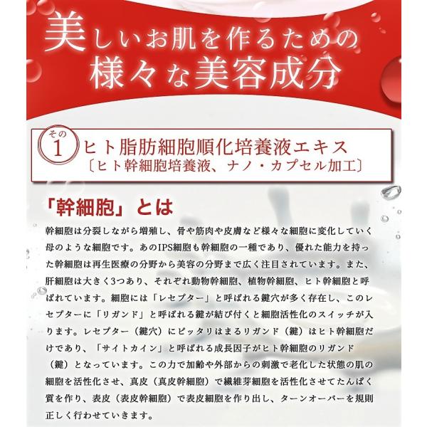 ポイント10倍 送料無料 ヒト幹細胞 プラセンタ リリーsc Pピュアクリーム 30g ヒト幹細胞培養液 化粧品 美容液 シミ しわ たるみ 日本 人気 おすすめ Buyee Buyee Japanese Proxy Service Buy From Japan Bot Online