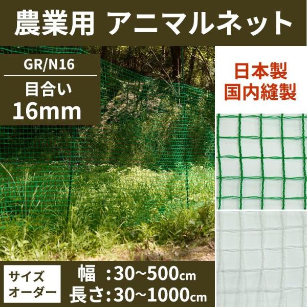 c-ranger_anet-grn16-303 c-ranger_anet-grn16-303