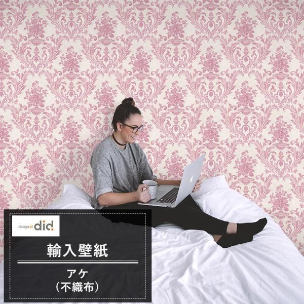 ǎ ւ  diy NX  _}XN Aǎ Ake AP t[X sDz C-F-1 