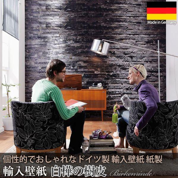 だまし絵 輸入壁紙 クロス 木目調 ドイツ製壁紙 紙製 Birkenrinde 白樺の樹皮 8 700 Buyee Buyee 提供一站式最全面最专业现地yahoo Japan拍卖代bid代拍代购服务 Bot Online