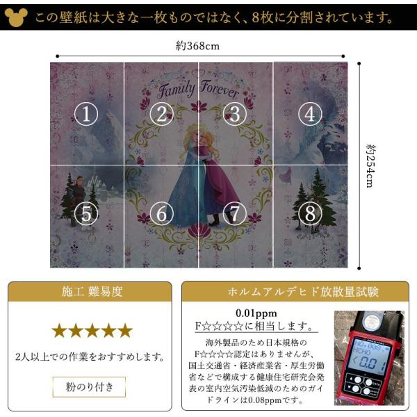 壁紙 アナと雪の女王 輸入壁紙 ディズニー エルサ アナ 壁紙 粉のり付