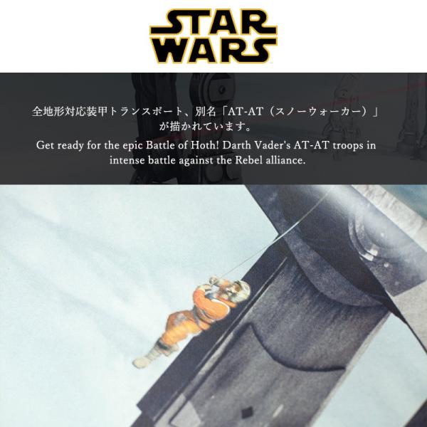 税込送料無料 の壁紙 張り替え 自分で Diy クロス おしゃれ スターウォーズ 輸入壁紙 Star Wars Battle Of Hoth 8 481 紙製 人気上質商品高評価 の