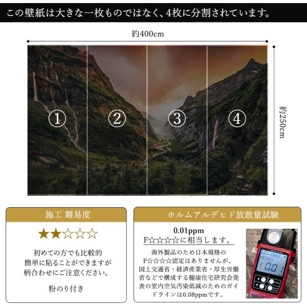のり付き おしゃれ Sh042 Vd4 内装 撮影 ドイツ製 住宅設備 内装 クロス 輸入壁紙 壁紙 大自然 フランス 紙 スイス 渓谷 山 自然 森 エデン バレー Sh042 Vd4 Kgerp012 ビニールカーテンのcレンジャー