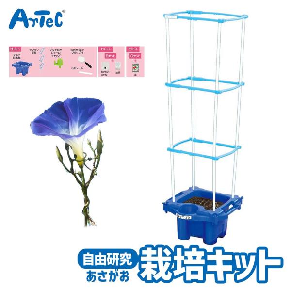 マルチラクラク あさがお 虫めがね付 Eセット 夏休み 自由研究 キット アーテック Artec