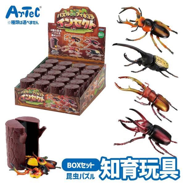 ca-nation_atc-21259