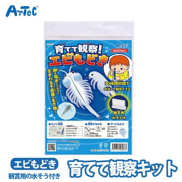 生きた化石 エビもどき アルテミア ブラインシュリンプ 観察 育成 実験 実験キット ユニセックス