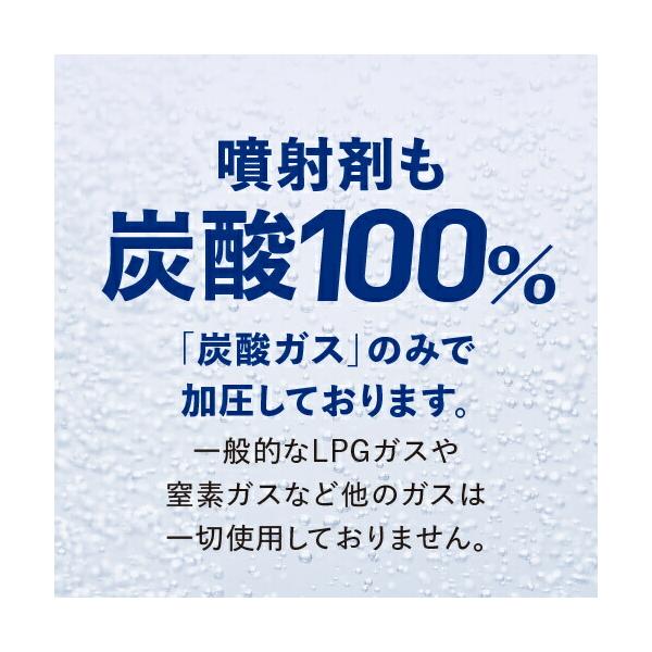 �Y�_���ϐ� ���Z�x �Y�_ 20,000ppm �~�X�g�� ���ϐ� �Y�_100�� �X�v���[ �ێ��P�A �v���X�L���C �v���X�Y�_�~�X�g 120g ��1������ ���i�摜3