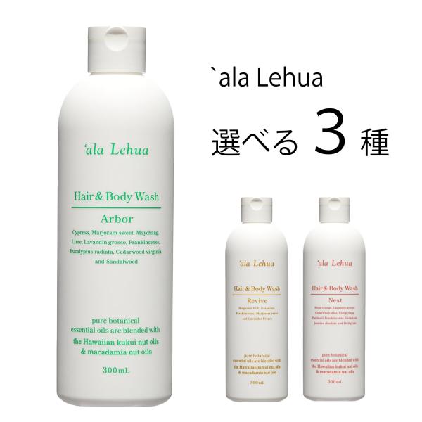 アラレフア ヘア&ボディウォッシュ アーバー 300mL×3本セット フレーバーライフ アラレフア ヘア&ボディウォッシュ 300ml