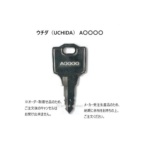 キーたんさん専用 cabinet_uchida-key009