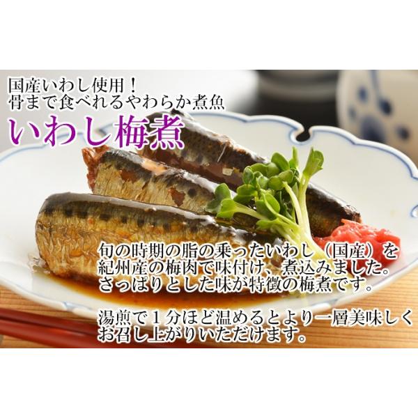 国産 骨まで食べれる煮魚 和風総菜 3種類詰め合わせセット 小袖屋 さばの味噌煮 さんまの生姜煮 いわし梅煮 Buyee Buyee บร การต วกลางจากญ ป น ซ อจากประเทศญ ป น