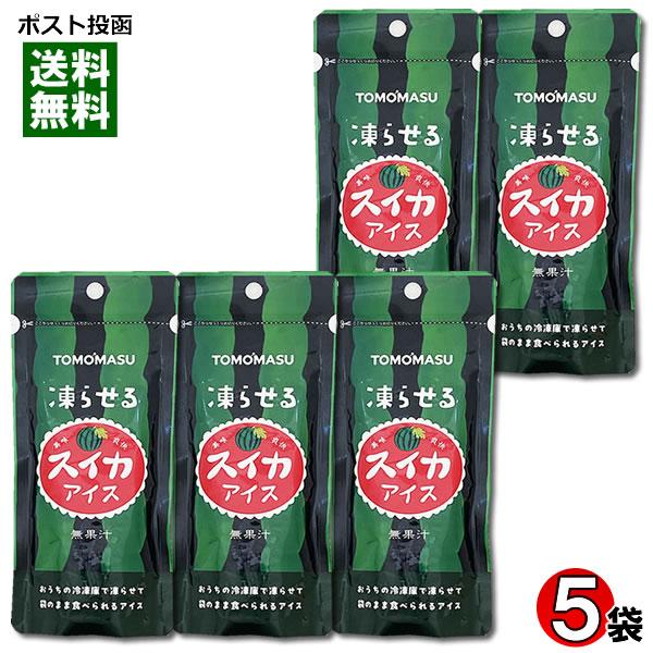 JJJ様　スイカアイス　ali 友桝飲料 凍らせるスイカアイス 80g×5袋詰め合わせセット 凍らせる果実